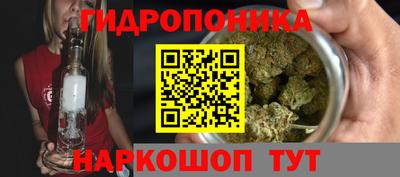 крисы Кинель