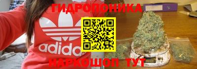 крисы Кинель