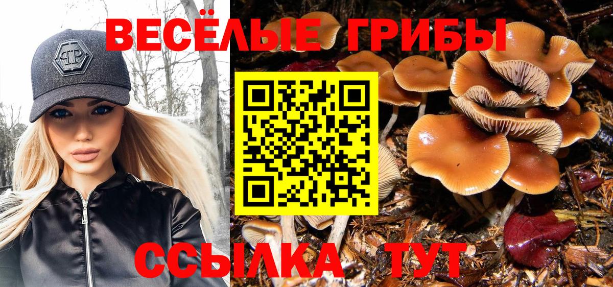 Сосновый Бор  Галлюциногенные грибы мухоморы  Псилоцибиновые грибы прущие грибы  Вход с VPN 